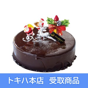 �y12�z �s�����u�����g�z�e���啪�t �N���X�}�X�J�I�J
